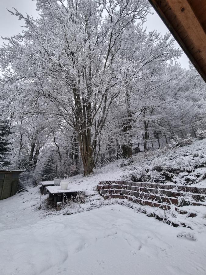 Ferienwohnung Schneeberg Stryck 외부 사진